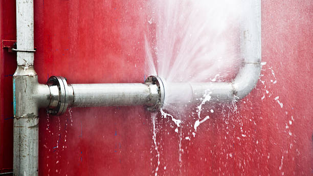 Best Sewage Cleanup and Restoration in USA